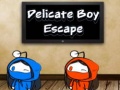 Játék Delicate Boy Escape