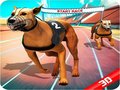 Játék Crazy Dog Race