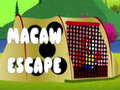 Játék Macaw Escape