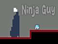 Játék Ninja Guy