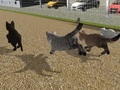 Játék Run Cat Cat Race