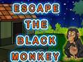Játék Escape The Black Monkey