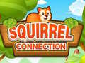 Játék Squirrel Connection