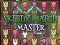 Játék Skibidi Match Master