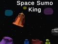 Játék Space Sumo King