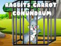 Játék Rabbits Carrot Conundrum