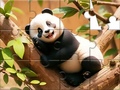 Játék Jigsaw Puzzle: Panda On Tree