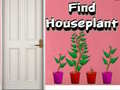 Játék Find Houseplant