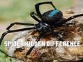 Játék Spider Hidden Difference