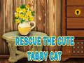Játék Rescue The Cute Tabby Cat