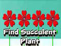 Játék Find Succulent Plant