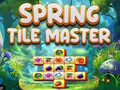 Játék Spring Tile Master