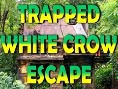 Játék Trapped White Crow Escape