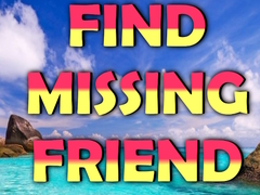 Játék Find Missing Friend