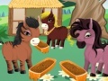 Játék Princess' Ponies