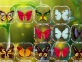 Játék Butterfly Connect