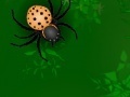 Játék Spiders attack 