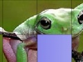 Játék Frog Slide Puzzle