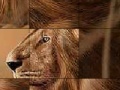 Játék Big brave lion slide puzzle