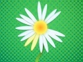 Játék Daisy petals