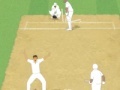 Játék Cricket Umpire Decision