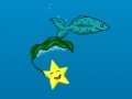 Játék Star Fish