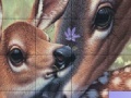 Játék Deers and Lovely Day Slide Puzzle