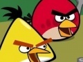 Játék Memory - Angry Birds