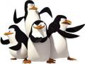 Penguins of Madagascar játék 