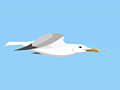 Játék Seagull Flight