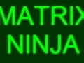 Játék Matrix Ninja