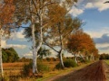 Játék Russian Road