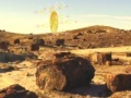 Játék Treasure Hunt-Desert Forest