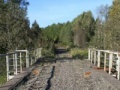Játék Diamond Bridge Escape