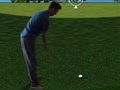 Játék Flash Golf 3D