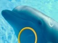 Játék Dolphin Tale 2 Hidden Alphabets