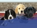Játék International Puppy Game