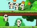 Játék Panda Shock Troop 