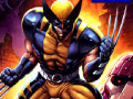 Játék Wolverine Differences 