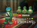 Játék Teenage Mutant Ninja Turtles: Ninja Training