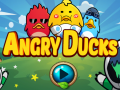 Játék Angry Ducks