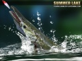 Játék Summer Lake 1.5