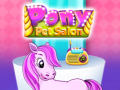 Játék Pony Pet Salon