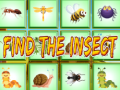 Játék Find The Insect