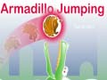 Játék Armadillo Jumping