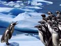 Játék Penguins Slide