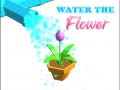 Játék Water The Flower