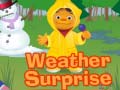 Játék Weather Surprise