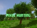 Játék Pixel Hunting