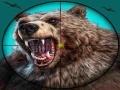 Játék Wild Bear Hunting